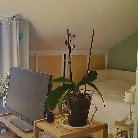 Spacious And Bright Family In Alicante. Alicante